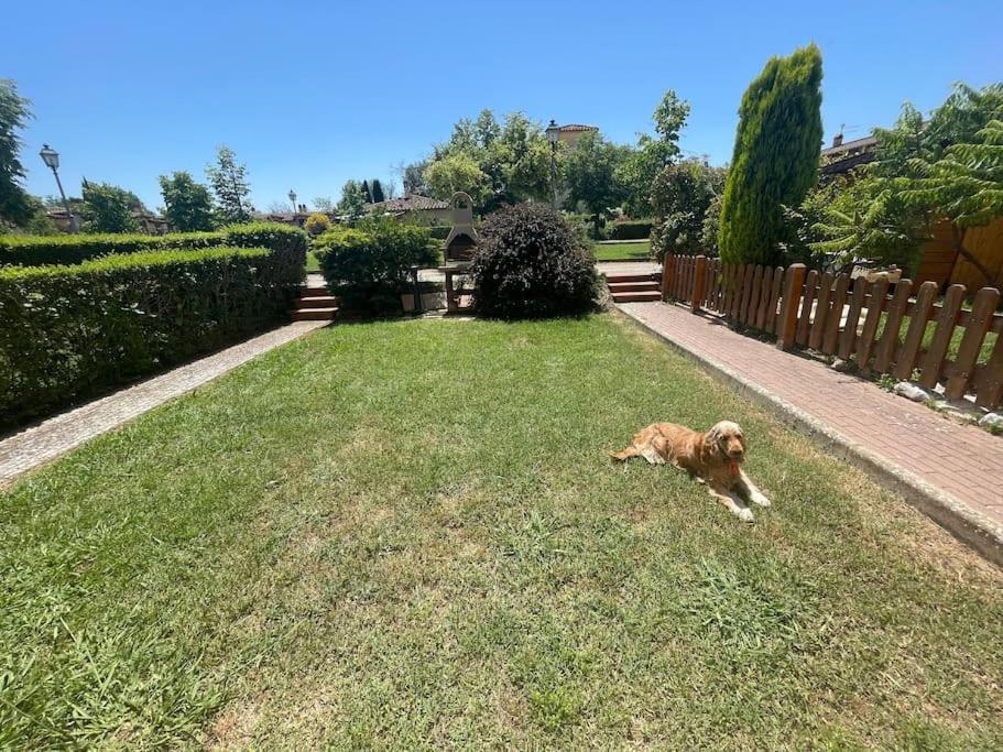 Casa Vacanza Villaggio Poggio Rosso Arezzo Eksteriør billede